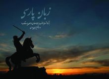 زبان فارسی همچون طفل بی‌سرپرست شده است
