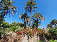 روستای همیشه بهار؛ ۱۰ دقیقه‌ تا اولین هتل کپری جهان