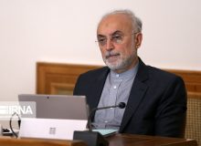صالحی: شورای عالی امنیت ملی درباره عوامل خرابکاری حادثه نطنز نظر می‌دهد