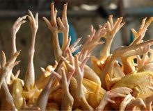 قیمت پای مرغ ؛ هر کیلو ۲۷۷۰۰ تومان