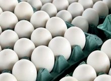 یارانه نقدی با قیمت یک شانه تخم مرغ برابر شد