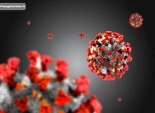 ایمنی بدن در مقابل کروناویروس حداقل تا ۸ ماه دوام دارد