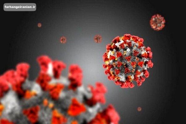 ایمنی بدن در مقابل کروناویروس حداقل تا ۸ ماه دوام دارد