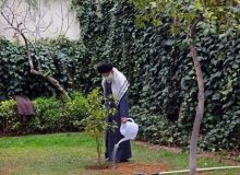 رهبر معظم انقلاب به مناسبت روز درختکاری دو نهال کاشتند