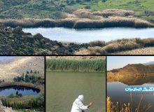 مرگ تدریجی تالاب‌های لرستان/ صدور سند کشاورزی برای تالاب!
