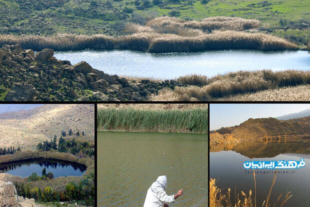 مرگ تدریجی تالاب‌های لرستان/ صدور سند کشاورزی برای تالاب!