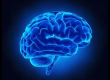 ۶ پیشنهاد سالم برای فعال نگه داشتن حافظه با افزایش سن