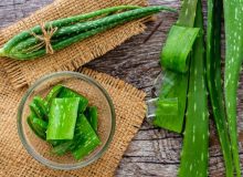 ۸ خاصیت آنتی اکسیدانی آلوئه ورا را بشناسید