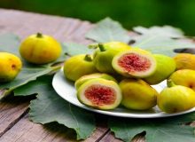 این میوه هم تب بر است هم از بدن سم زدایی می کند