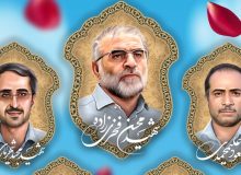علت لغو دیدار قاضی‌زاده هاشمی با خانواده شهدای ترور و هسته‌ای/ بنیاد شهید عذرخواهی کرد