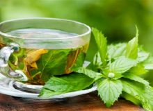 این 5 گیاه دارویی مثل قرص خواب عمل می کنند!