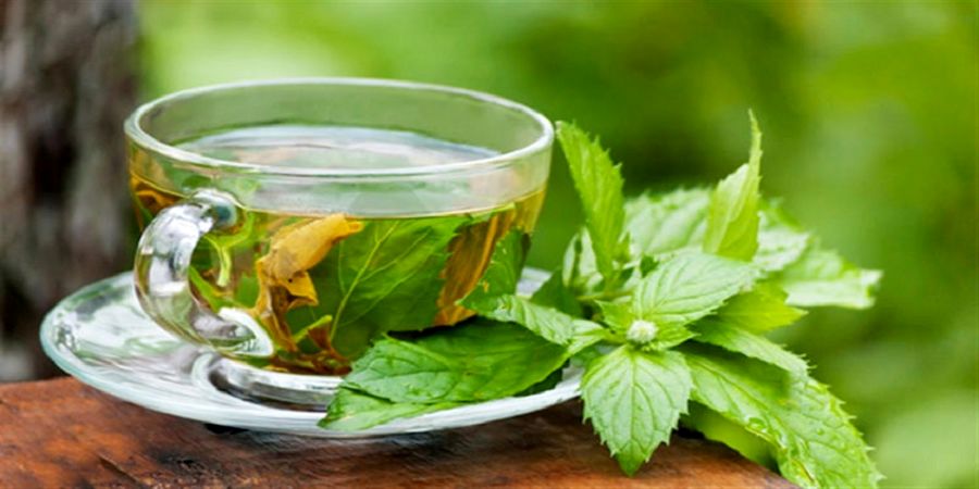 این 5 گیاه دارویی مثل قرص خواب عمل می کنند!
