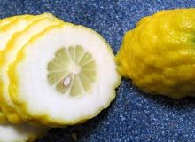 این میوه نفخ شکم را به راحتی از بین می برد