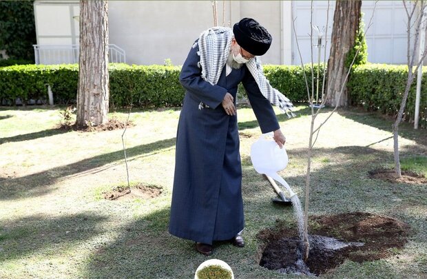رهبر انقلاب به مناسبت روز درختکاری نهال کاشتند