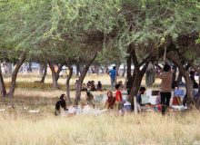 روز طبیعت با زمین دوست باشیم