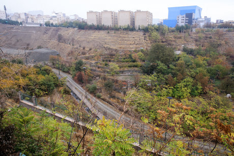 زنان دره فرحزاد