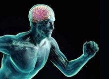 چرا ورزش‌کردن آی‌کیو را تقویت می‌کند؟