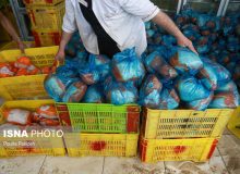 قیمت مرغ اصلاح می‌شود؟