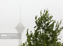 سردرگمی عجیب محیط زیستی
