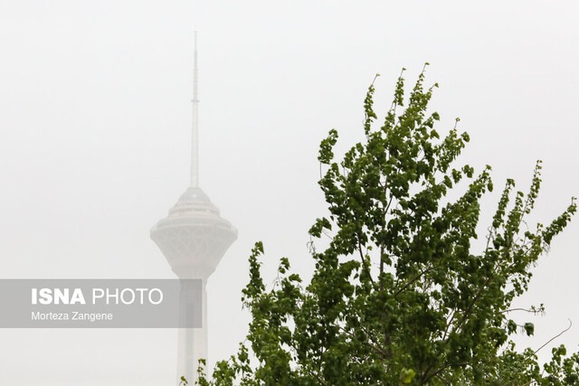 سردرگمی عجیب محیط زیستی