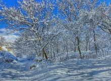 مزایای زمستان برای سلامتی