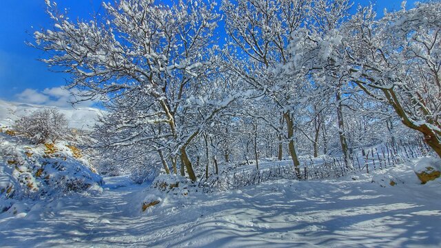 مزایای زمستان برای سلامتی