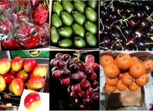 میوه‌های وارداتی، حیاط خلوت تجار خاص