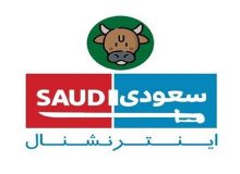 بازداشت یکی از عوامل اصلی شبکه تروریستی سعودی اینترنشنال در ایران