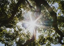 پنج فایدۀ نور آفتاب برای سلامتی