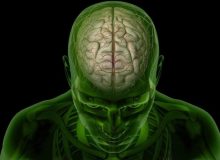 یازده حقیقت شگفت‌انگیز درباره‌ مغز