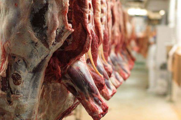 سود ۱۰۰درصدی دلالان از بازار گوشت قرمز