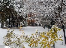 مهارت‌هایی برای روزهای سرد زمستانی