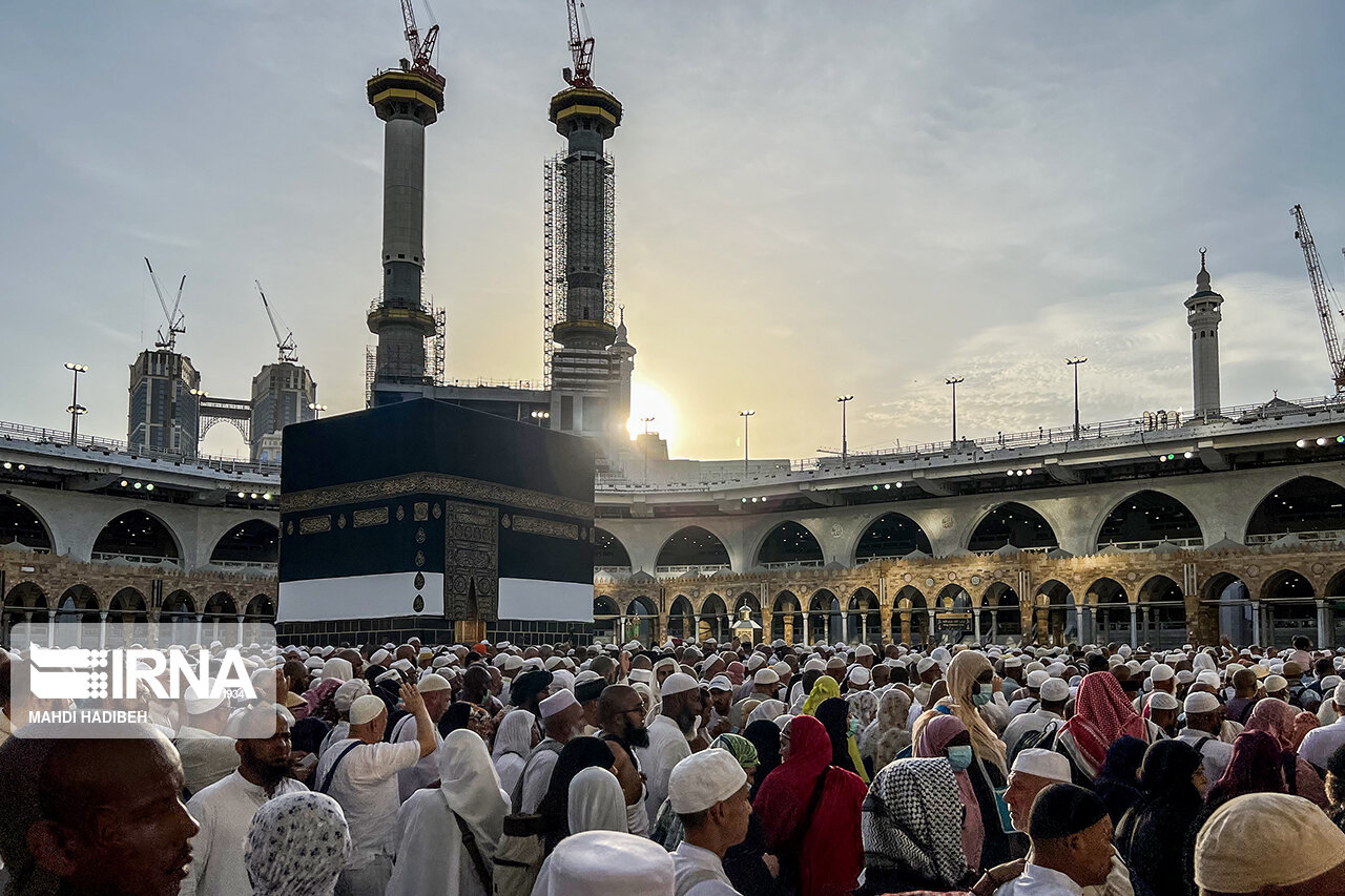 رئیس سازمان حج و زیارت منصوب شد