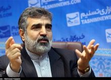 کمالوندی: مشکل ما با آژانس این است که هم به نعل می‌زند و هم به میخ!