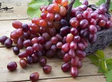 انگور درمان کننده بیماری‌های صعب العلاج