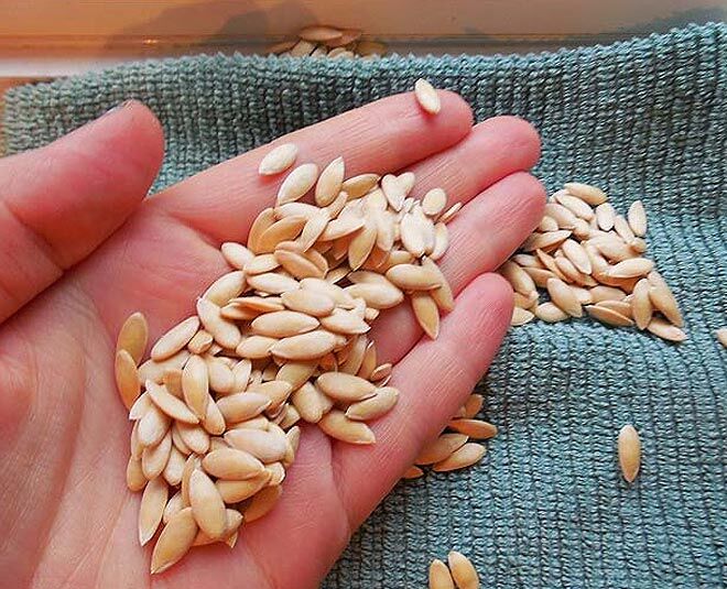 خواص عجیب یک تخم که در سطل آشغال می ریزیم!