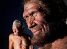 شکل دماغ‌تان را از کی به ارث برده‌اید؟!