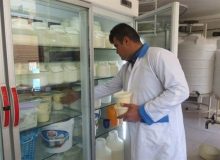 لبنیات فله ای چه بلایی سر ما می آورد