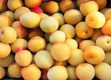آلو ژاپنی در پیشگیری از فشارخون و بیماری های قلبی موثر است