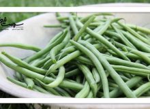 این خوراکی راز ۱۰۰ سالگی است؟