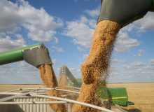 تلاش آمریکا برای یافتن مسیرهای جایگزین برای صادرات غلات اوکراین