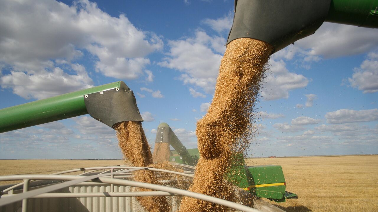 تلاش آمریکا برای یافتن مسیرهای جایگزین برای صادرات غلات اوکراین