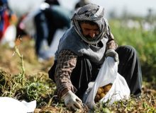 خبرهای جدید درباره آخرین وضعیت بیمه تکمیلی روستاییان