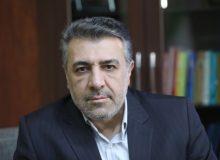 گروه بریکس، ظرفیت ها  چالش ها