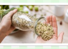 فواید شگفت انگیز شاهدانه برای سلامتی