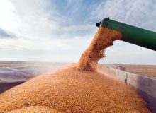 اختلاف نظر جدی کشورهای اروپایی بر سر واردات غلات از اوکراین