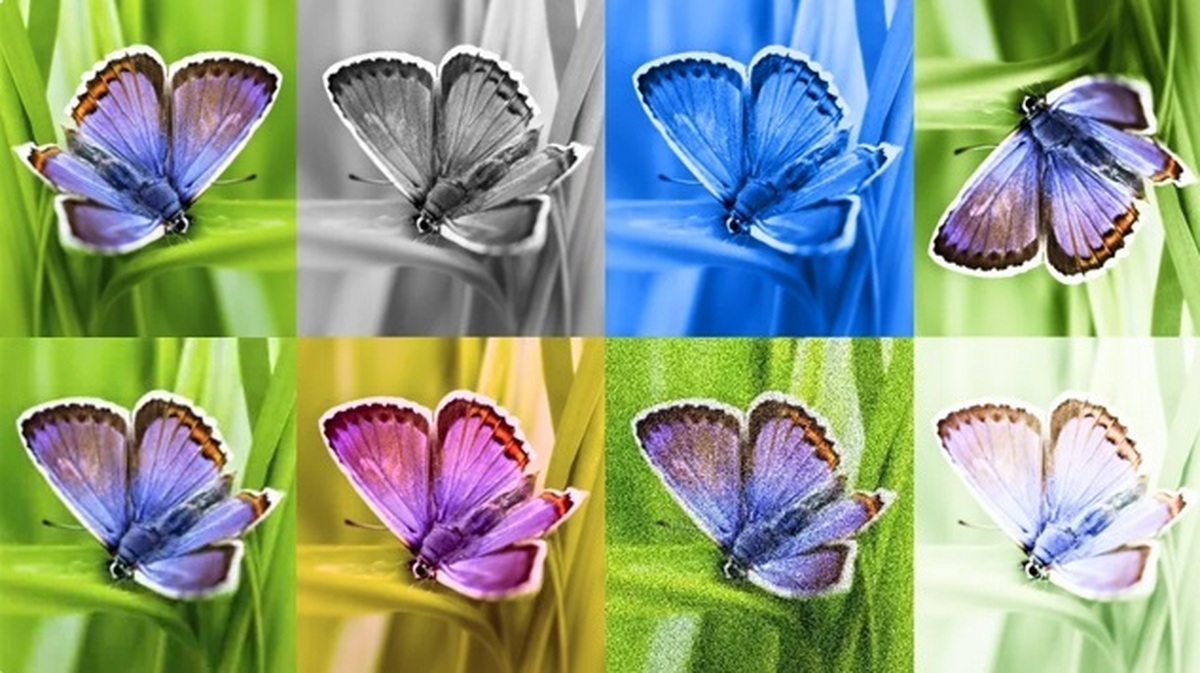 نشانه‌گذاری تولیدات هوش مصنوعی برای مبارزه با اطلاعات نادرست