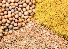 حذف قیمت‌گذاری دستوری و سهمیه‌بندی خوراک دام و طیور