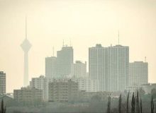 تاثیر مواد مغذی در کاهش تنگی نفس/ خاصیت چای سبز در هوای آلوده