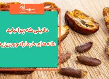 چرا نباید دانه های خرما را دور بریزیم؟